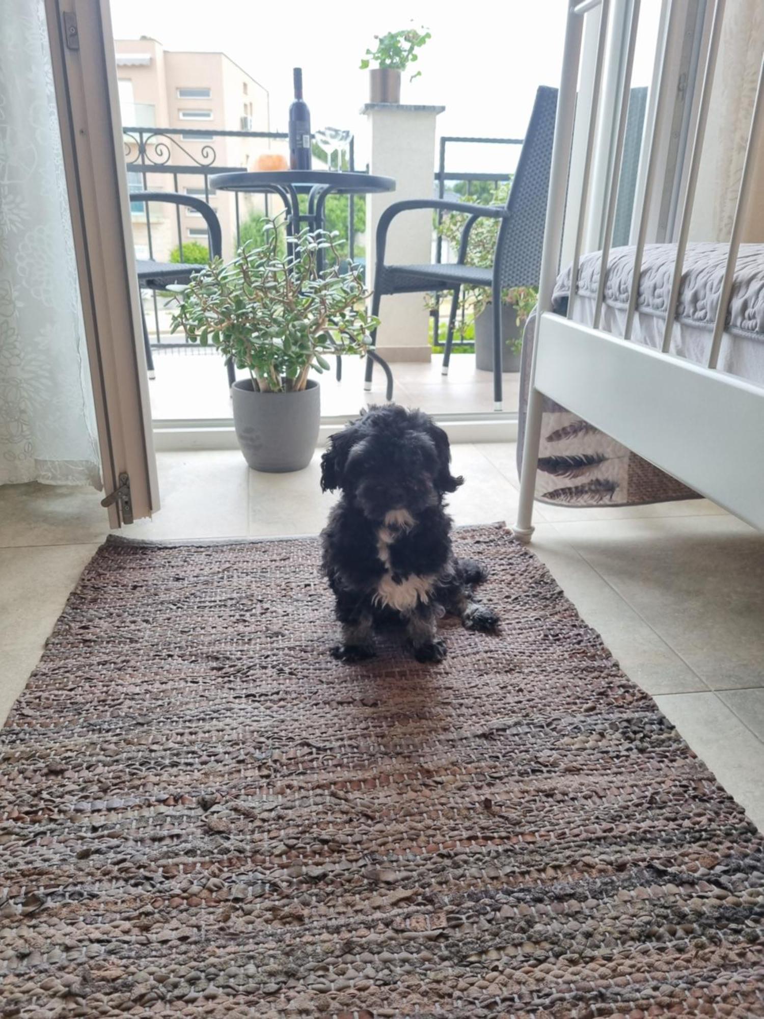 Emilia Apartment Vir